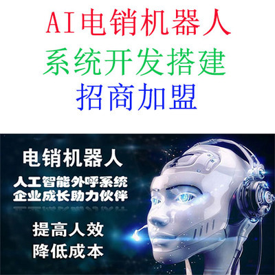 電銷軟件與人工智能基礎(chǔ)軟件開發(fā) 融合與創(chuàng)新